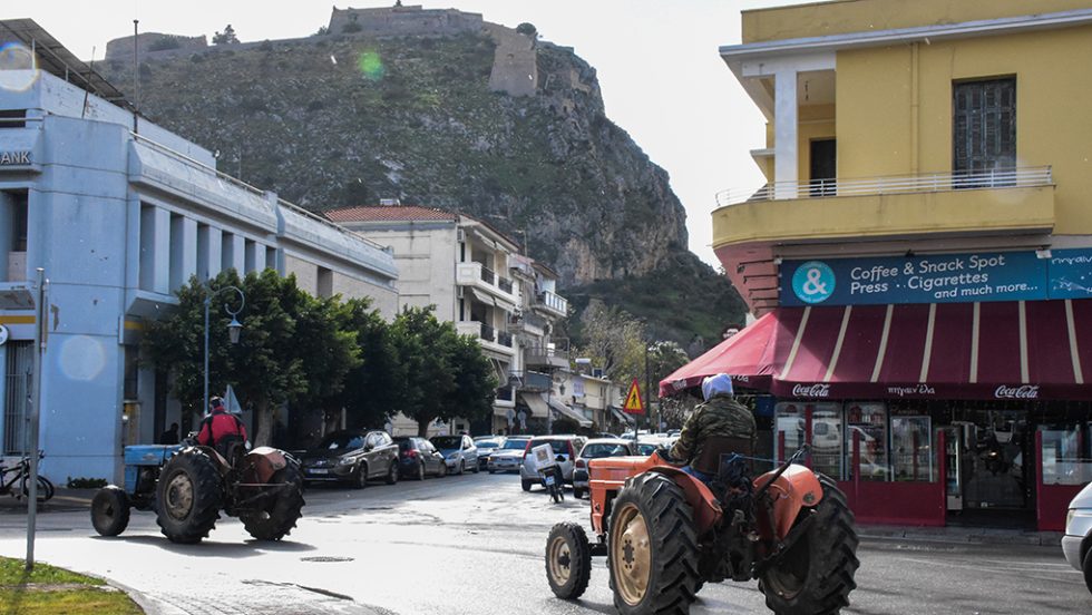 agrotes